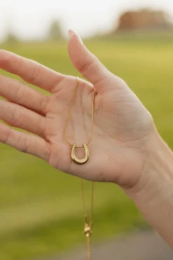 Ali Express Necklaces<Horseshoe Necklace-