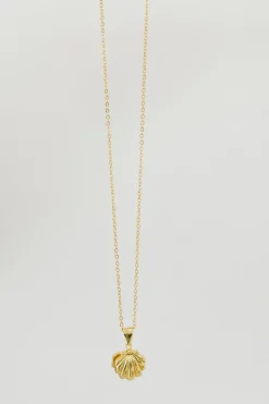 Ali Express Necklaces<Precious Pearl Locket-